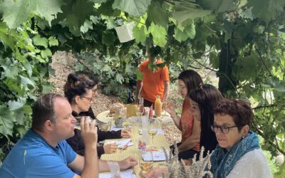 Apéro Dharma flow dans les vignes familiale